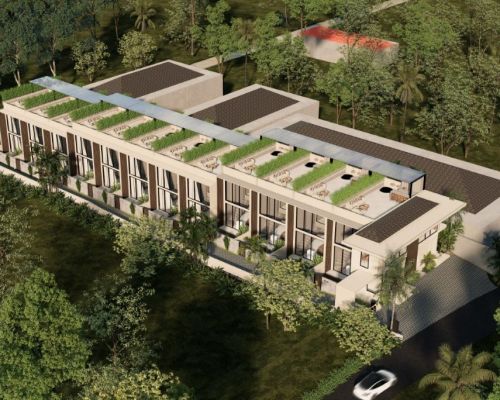 The Garden of Sarasvati