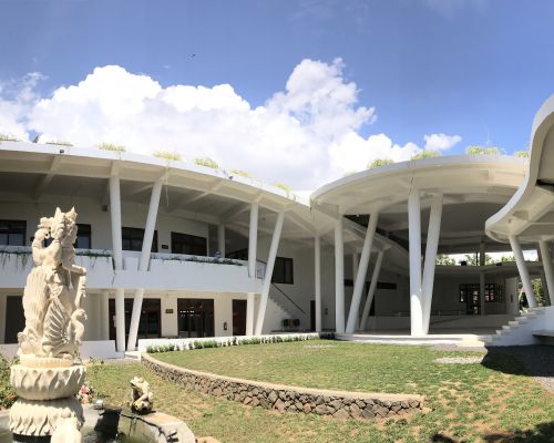 The Garden of Sarasvati