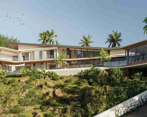 The Garden of Sarasvati